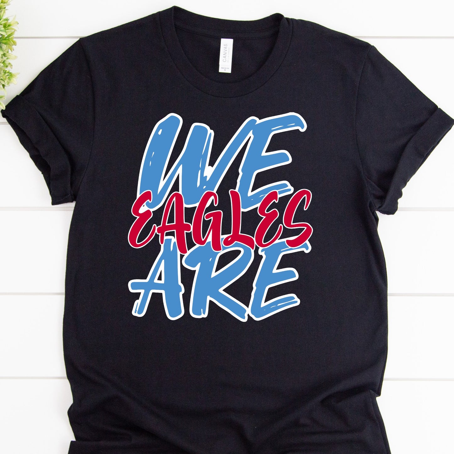 We Are Eagles Sketch